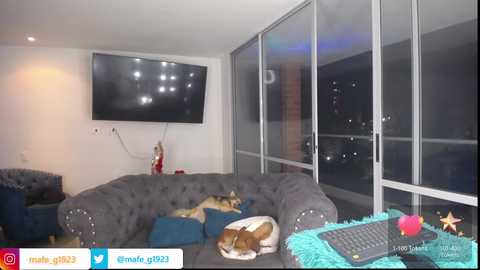 Media: Video of a cozy living room with a gray tufted sofa, a brown and white dog sleeping on a turquoise cushion, and a large flat-screen TV mounted on the white wall.