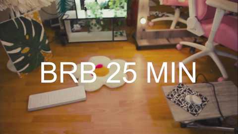 Media: Video of a cluttered office desk with a computer monitor, keyboard, and mouse on a wooden floor, featuring a pink chair, a white cat bed, and a \"BB 25 MIN\" overlay.