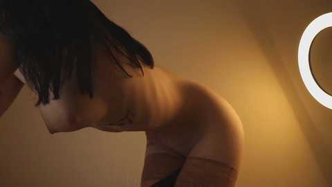 Media: Video of a nude woman with straight black hair, medium-sized breasts, and light skin, leaning forward, in a dimly lit room with a round light fixture.