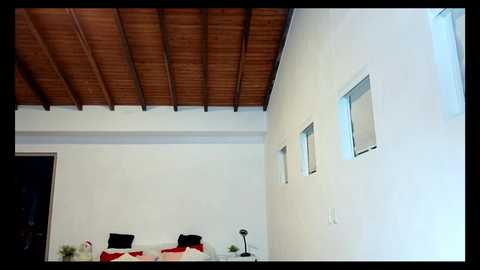 Media: Video of a minimalist, white-walled bedroom with a wooden ceiling, featuring a bed with red and black bedding, a small potted plant, and three small windows.