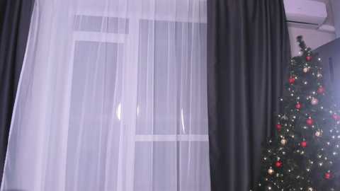 Media: Video of a Christmas tree with colorful ornaments and lights, partially obscured by sheer white curtains and black drapes, in a cozy, well-lit room.