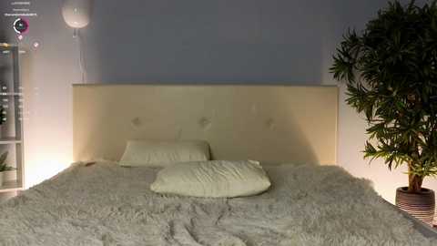 Media: Video of a modern, minimalist bedroom with a cream-colored tufted headboard, white bedding, a plush white throw, and a large potted plant on the right. The room has a soft, serene ambiance with a single hanging lamp.