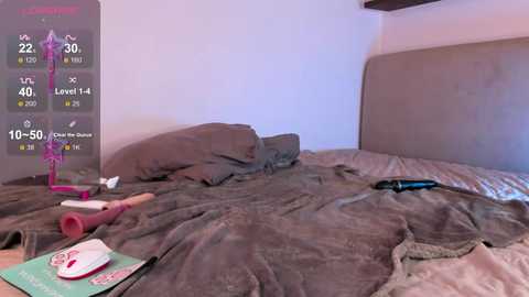 Media: A video of a messy bedroom with a grey bedspread, scattered clothes, a pink vibrator, a black vibrator, and a laptop on a wooden desk. The room has a beige headboard and a minimalistic decor.