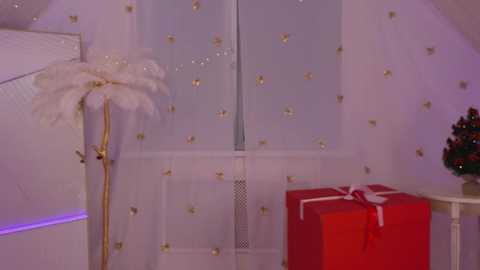 Media: Video of a cozy room with white curtains adorned with gold dots, a feathered white lamp on the left, a red gift box wrapped with a white bow on the right, and a small Christmas tree in the background.