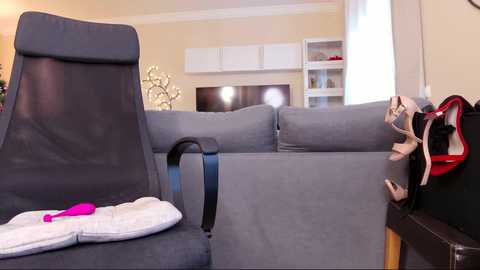 Media: Video of a modern living room with a gray sectional sofa, white shelves, and a black leather chair with a pink vibrator on a cushion, red heels on a side table.