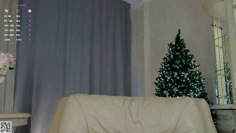 Media: A video of a cozy living room with a beige couch covered in a light blanket. A decorated Christmas tree stands to the right, adorned with twinkling lights. A pink flower arrangement sits on a table to the left, and gray curtains cover a window in the background.