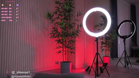 Media: Video of a modern indoor studio setup with a large round light ring, bamboo plant, and two red lights; vertical white panel backdrop.