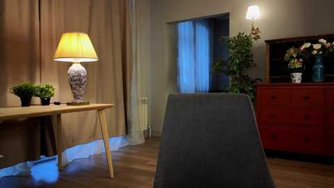 Media: Video of a cozy, dimly lit room with a beige curtain, wooden furniture, a gray chair, a red dresser, a green plant, a lamp with a white shade, and a small potted plant.