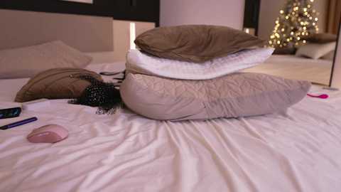 Media: Video of a neatly made bed with a pile of beige and white quilts, a pink vibrator, and a remote control on the white sheets. In the background, a lit Christmas tree and a framed picture are visible.