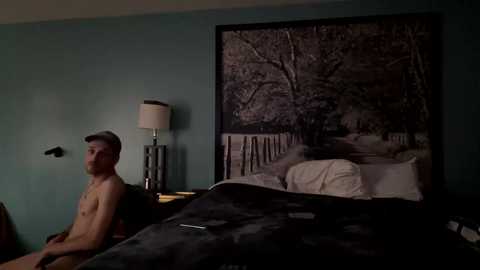 Media: Video of a shirtless, lean Caucasian man with light skin and short brown hair sitting on a dark bed in a dimly lit room. A large framed video of a snowy forest path is mounted on a teal wall behind him.