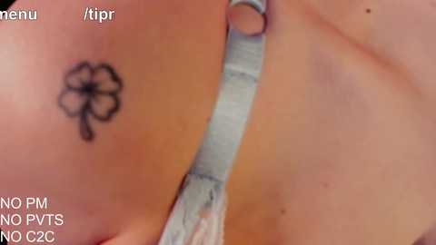 Media: A close-up video of a tattooed woman's upper back, featuring a black, detailed clover tattoo, and a light blue bra strap. Text at the bottom reads: \"NO PITS NO 2GC.\