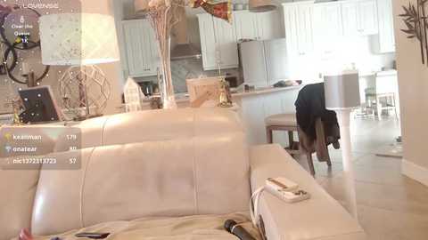 Media: Video of a modern living room with beige leather couch, white cabinets, and a black dog on a chair; kitchen visible in background.