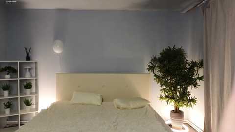 Media: A video of a minimalist bedroom with a light beige bed, white curtains, a tall potted plant, a white wall-mounted lamp, and a white shelf with potted plants.