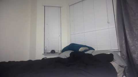 Media: Video of a small, dimly lit bedroom with white walls and a large window with white blinds partially closed. A black dog is sleeping on a dark bed with a blue pillow.