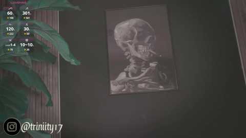 Media: A video showing a framed black-and-white drawing of a human skeleton on a dark green wall, partially obscured by a green leafy plant on the left. The image includes a digital overlay with social media icons and a timestamp.