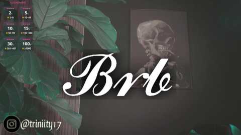 Media: Video of a digital screen displaying a black-and-white skull with a green plant in the background. Text \"Bride\" in white cursive, overlaid on the skull.