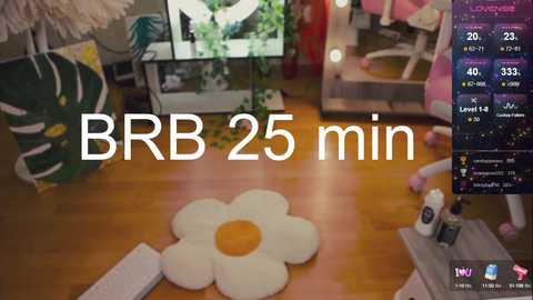 Media: Video of a cozy living room with a wooden floor, a large green plant, a white flower rug, a TV showing a video game, and a pink plush toy. Text overlay reads \"BRB 25 min.\