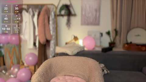 Media: Video of a cozy living room with a brown blanket draped over a grey couch, pink balloons, and a warm, inviting ambiance.