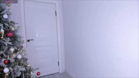 A video of a minimalist white room with a closed white door on the left, a Christmas tree adorned with red and silver ornaments on the right, and a blank white wall.