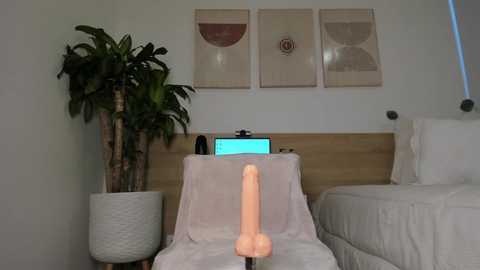 Media: Video of a modern bedroom with minimalist decor: a white bed, a potted plant, a wall-mounted abstract art piece, and a large, realistic dildo prominently placed in the foreground.