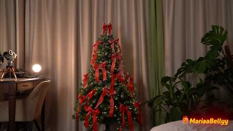 Media: Video of a Christmas tree adorned with red ribbons and ornaments, standing against beige curtains in a room with a desk, lamp, and green plants.