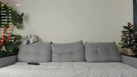 Media: Video of a minimalist living room with a gray sofa, beige walls, a black remote on the cushion, and a Christmas tree on the right, adorned with red and white ornaments.