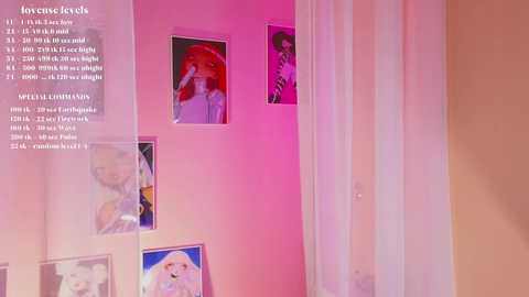 Media: Video of a pink-walled room with three framed portraits, including one of David Bowie, partially obscured by sheer curtains.