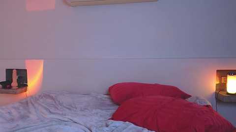 Media: Video of a dimly lit bedroom with white walls, an air conditioner, a bed covered in red pillows and a gray blanket, and two small nightstands with lit candles and sex toys.