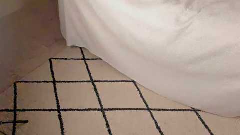 Media: Video of a corner in a room, featuring a white bed sheet draped over a bed frame, and a beige tiled floor with black grid lines.