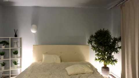 Media: A modern, minimalist bedroom video featuring a white upholstered bed with white pillows, a gray wall, a white shelving unit with green plants, a tall floor lamp, a large potted bamboo plant, and a white curtain.