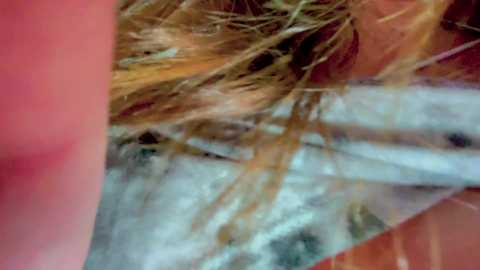 Media: Video of a close-up view of a person's scalp, showing a dense, matted mass of hair, tangled with brown, gray, and white strands. The skin appears pinkish and the background is blurred, focusing on the hair.