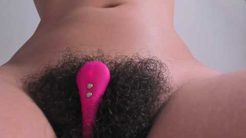 Media: A close-up video of a nude person with light skin, showing a prominent, dark pubic area with curly hair and a pink vibrator inserted, featuring two silver buttons.