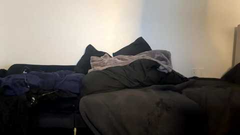 Media: A video of a messy, unmade bed with dark sheets and pillows, a gray blanket, and a navy blue blanket on the left side. The background is a plain white wall.