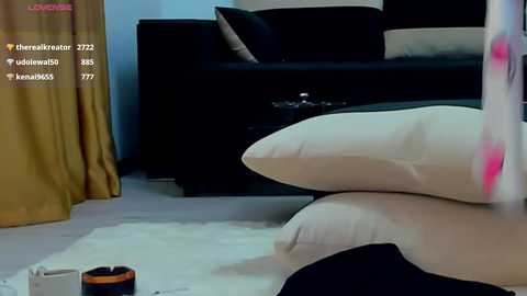 Media: A video of a modern living room with a black sofa, beige cushions, a white rug, and mustard-yellow curtains. A white and pink stuffed animal lies on the floor.