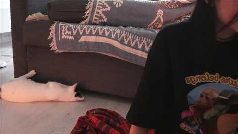 Media: Video of a black cat lying on a gray couch with a colorful patterned blanket, a person in a black shirt with a graphic design, and a red plaid blanket on the light wooden floor.