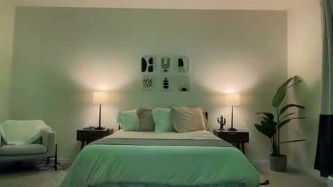 Media: Video of a minimalist, modern bedroom with a green bedspread, two bedside tables with lamps, a wall-mounted artwork, a green chair, and a potted plant.