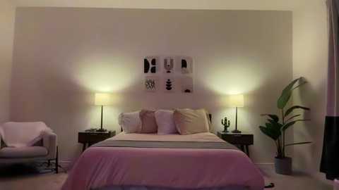 Media: Video of a minimalist, cozy bedroom with a pink bedspread, white pillows, and framed abstract art above. Nightstands with lamps, a cactus, and a potted plant add to the serene ambiance.