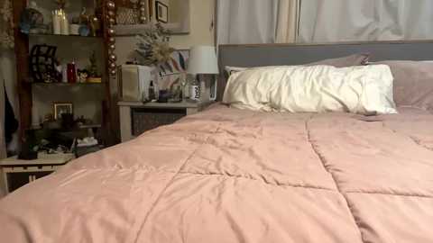 Media: Video of a cozy bedroom with a queen-sized bed covered in a light pink quilt, featuring a white pillow and a wooden headboard. The background includes a bookshelf with framed pictures, a lamp, and various decor items.