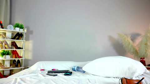 Media: Video of a minimalist bedroom with a white bed, white pillow, and a white duvet. A plant, a red shoe, and a remote control are on the bed. The wall is light gray, and a white shelf with shoes and potted plants is on the left.