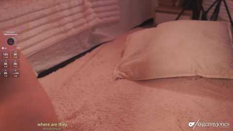 A video of a woman's bare, light-skinned buttocks on a soft, beige blanket, with a white pillow nearby, taken from a first-person perspective, showing a watermark.