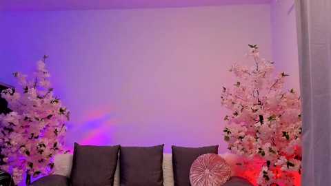 Media: A video of a modern, minimalist living room with a white wall and two dark gray couches. The room is lit by soft, purple and pink LED lights.