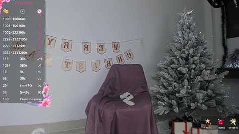 Media: A video of a room with a purple cloth-covered chair, a decorated Christmas tree, and a \"TRE\" banner; a digital overlay displays a video recording interface.