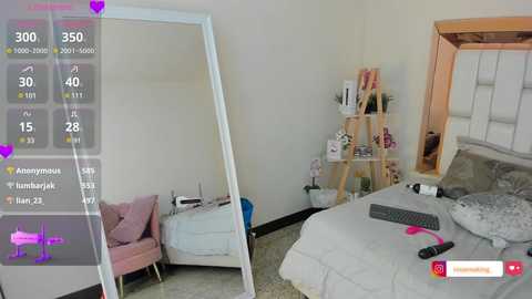 Media: Video of a modern bedroom with a white mirror, light pink couch, wooden shelving unit, and a bed with grey bedding.