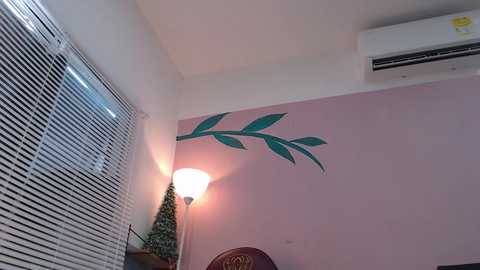 Media: Video of a small, cozy room with a pale pink wall featuring a green leafy branch mural. A floor lamp with a white shade and a small Christmas tree sit beside a window with horizontal blinds. An air conditioner is mounted on the ceiling.