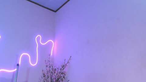 Media: A video of a corner room with a lavender-painted wall, featuring a neon \"Y\" sign in the upper left and a floral arrangement in the lower right. The lighting is soft, creating a serene, minimalist atmosphere.