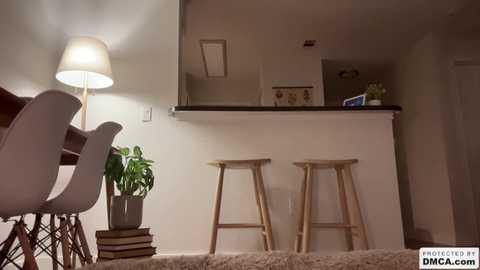 Media: Video of a modern, minimalist kitchen with white walls, a black countertop, two wooden stools, a potted plant, a lamp, and a door leading to a dining area.