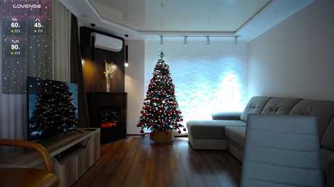 Media: Video of a modern living room with a small Christmas tree, beige couches, wooden floor, and a flat-screen TV on a stand.