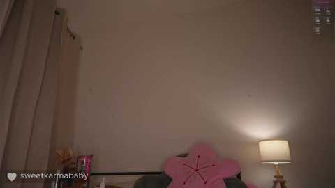 Media: Video of a dimly lit bedroom with a white wall, a pink star pillow, a nightstand with a lamp, and a partially visible window.