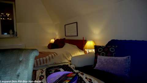 Media: Video of a cozy, dimly-lit attic bedroom with a bed, nightstands, and a blue couch, featuring a colorful rug and a framed certificate on the wall.