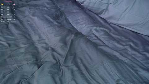 Media: Video of a gray, wrinkled bedsheet with visible creases and folds, partially covering a pillow, creating a textured, rumpled appearance. The image lacks color variation, suggesting a monochromatic palette.